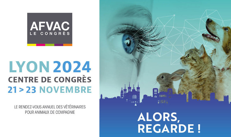 AFVAC le Congrès Lyon novembre 2024